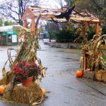 Halloween Entrance to one of Mississauga's finest party place